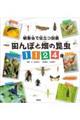 田んぼと畑の昆虫1124種