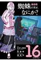 蜘蛛ですが、なにか? 16