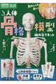 1/6サイズ人体骨格模型組み立てキット