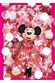 Tokyo Disney Resort Photography Project Imagining