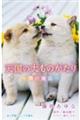 天国の犬ものがたり