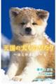 天国の犬ものがたり