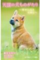 天国の犬ものがたり