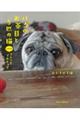 �p�O�̂����ڂƂT�C�̔L�Ƃ��ǂ��t�����`�u���h�b�O