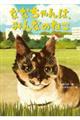 ななちゃんは、みんなのねこ