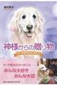 �_�l����̑��蕨�@�N�[���`��������������