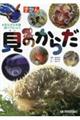 ずかん 貝のからだ