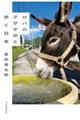 ロバのクサツネと歩く日本