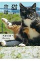 �L�̕���