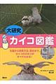 �匤���J�C�R�}��