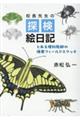 �Z���搶�̒T���G���L