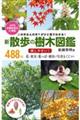 新散歩の樹木図鑑