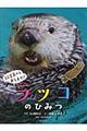 ラッコのひみつ