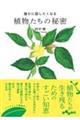 �N���ɘb�������Ȃ�A�������̔閧