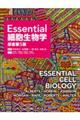 Essential細胞生物学 原書第5版