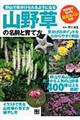 �R�쑐�̖��O�ƈ�ĕ�