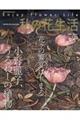 私の花生活 NO.120(2025 Winter)