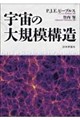 宇宙の大規模構造