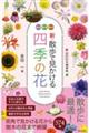 新・散歩で見かける四季の花