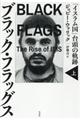 ブラック・フラッグス 上