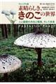 ���B�W���A���őf���炵���A���̂��̐��E