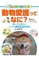 動物愛護ってなに?