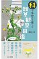 �ȂŌ������Ċy���ށ@�G���ώ@�}��