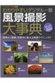 �킩��₷���f�W�^����ᕗ�i�B�e�厖�T