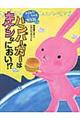 ハンバーガーはキケンなにおい!?