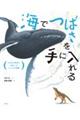 海でつばさを手に入れる