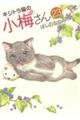 キジトラ猫の小梅さん 23