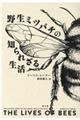 �쐶�~�c�o�`�̒m��ꂴ�鐶��