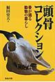頭骨コレクション