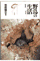 �쒹�̐����@�P�@�V����