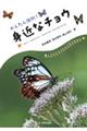 かんたん識別!身近なチョウ