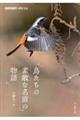 鳥たちの素敵な名前の物語