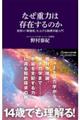 なぜ重力は存在するのか 世界の「解像度」を上げる物理学超入門
