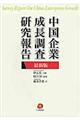 中国企業成長調査研究報告