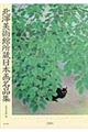 北澤美術館所蔵日本画名品集 増補版