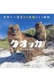 クオッカ