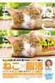毎日脳活スペシャル ねこのまちがいさがし 5