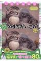いやされ脳活 猫のまちがいさがし VOL.2