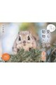 北の森に生きる愛らしい動物たちの素顔カレンダー 2027