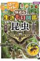 【図書館版】はっけん!身近な生きもの図鑑 昆虫