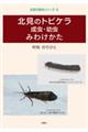 北見のトビケラ 成虫・幼虫みわけかた