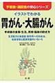 イラストでわかる胃がん・大腸がん