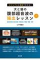 �r�W���A���Ɠ���ł킩��I���ƔL�̕��������g�̕`�o���b�X���@�㊪