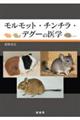�������b�g�E�`���`���E�f�O�[�̈�w