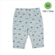 petit main�@�����V���䃌�M���X�@�O���[�@�l�iS:0040�j