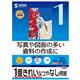 �T�����T�v���C �C���N�W�F�b�g�p�X�[�p�[�t�@�C���p��A4�T�C�Y20������ JP-EM5NA4